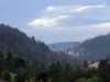 O 2013_Schwarzwald 1